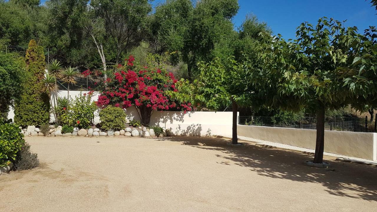 Residence U Melu Grand T3 Jaune A L'Etage Tiuccia Exterior foto