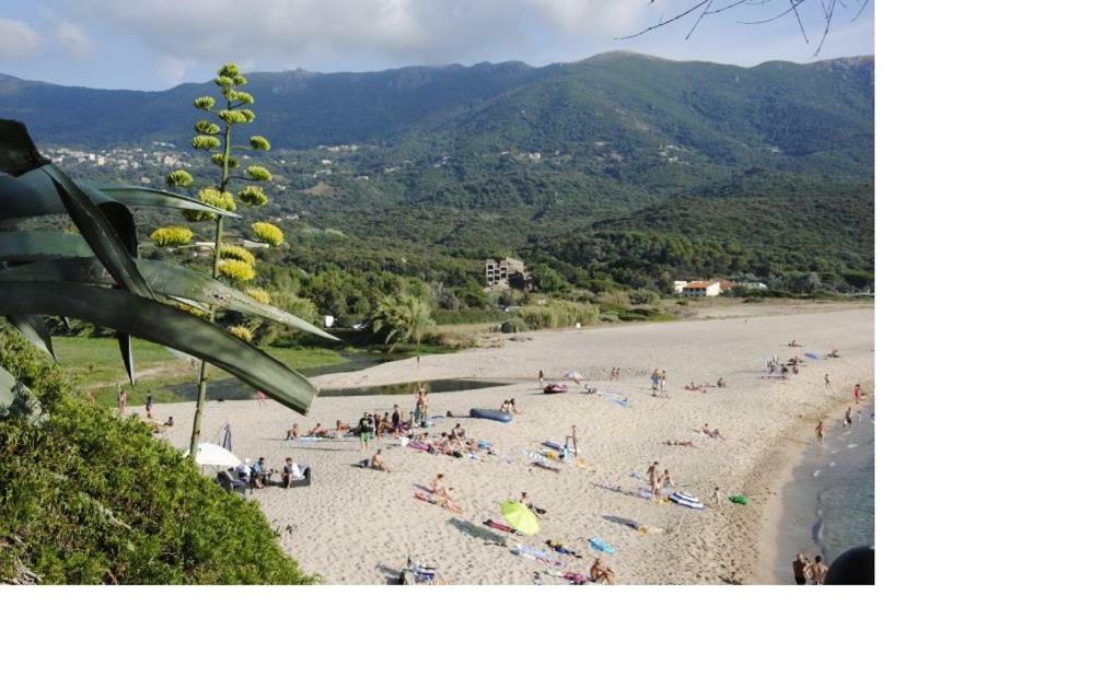 Residence U Melu Grand T3 Jaune A L'Etage Tiuccia Exterior foto